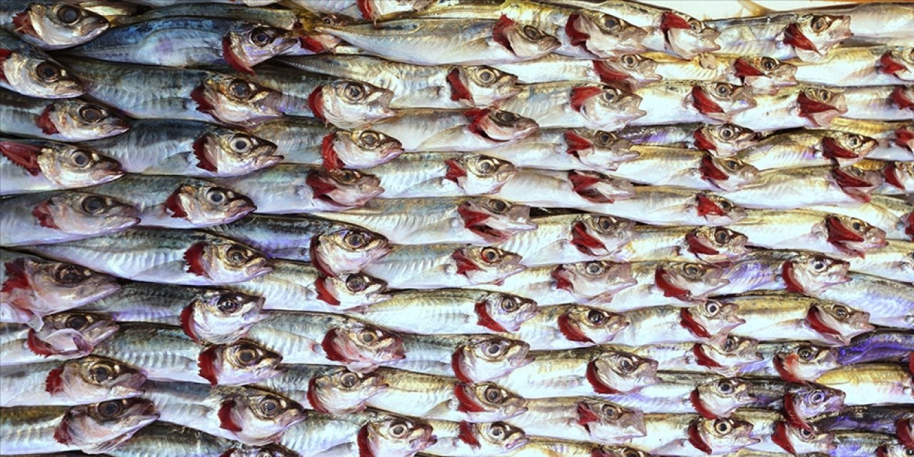 Doğu Karadeniz'in 11 aylık su ürünleri ihracat geliri açıklandı