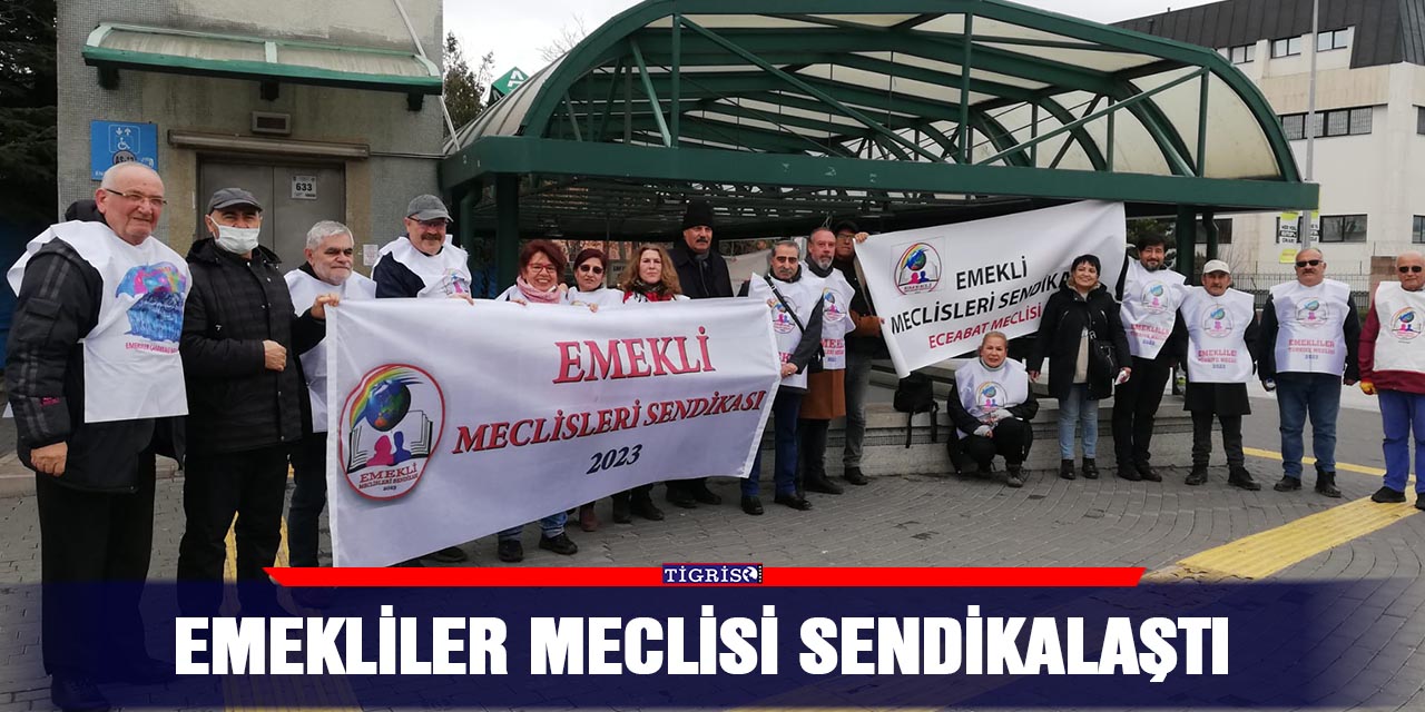 Emekliler meclisi sendikalaştı
