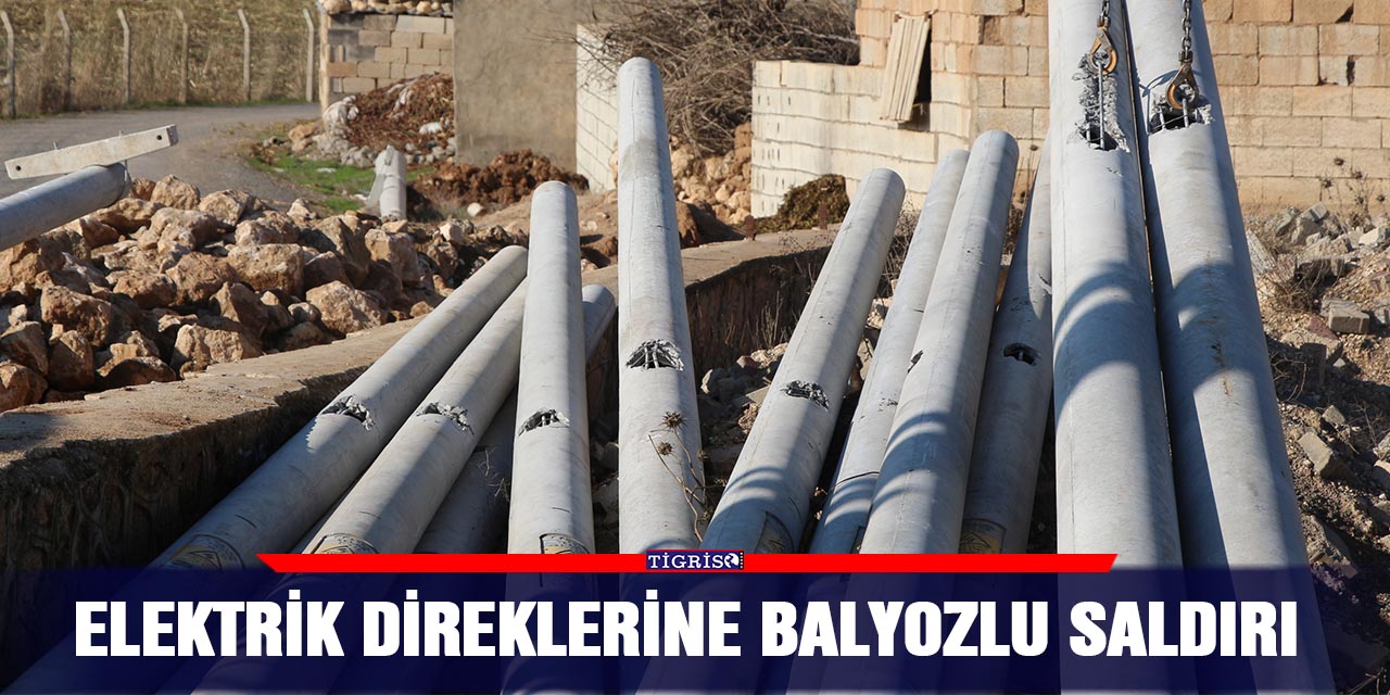 Elektrik direklerine balyozlu saldırı