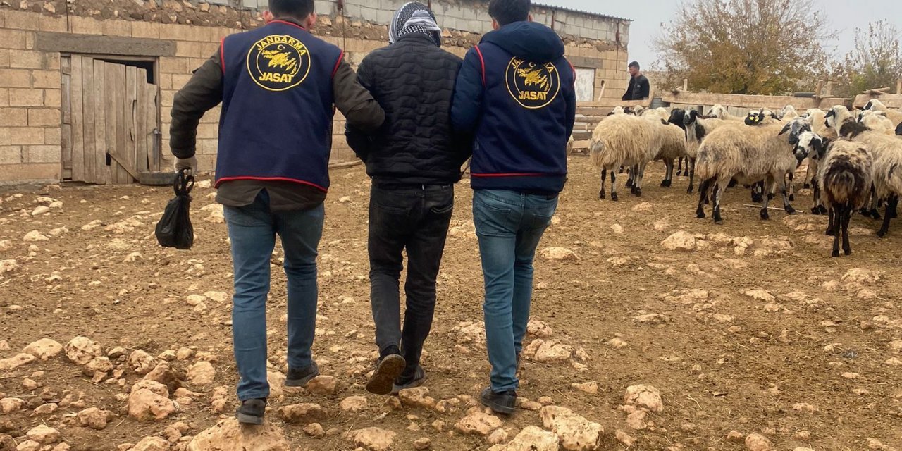 Firari hükümlü yakalandı