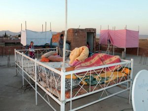 Kızıltepe'de “dam palas” sezonu başladı