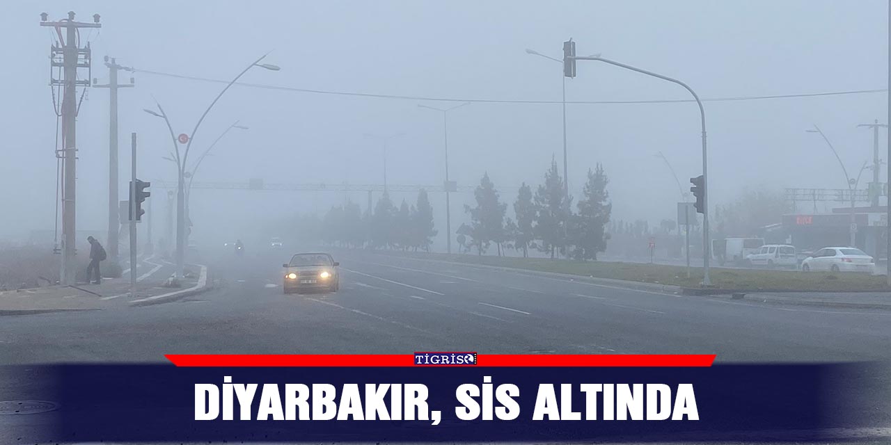 Diyarbakır, sis altında
