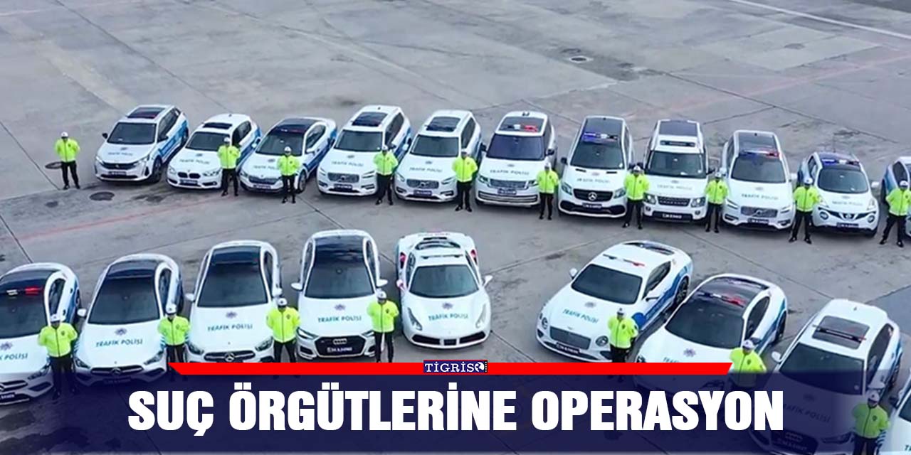 Suç örgütlerine operasyon