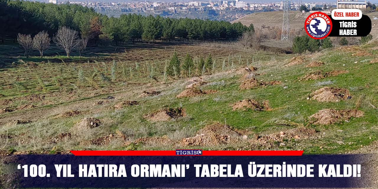 ‘100. Yıl Hatıra Ormanı’ tabela üzerinde kaldı!