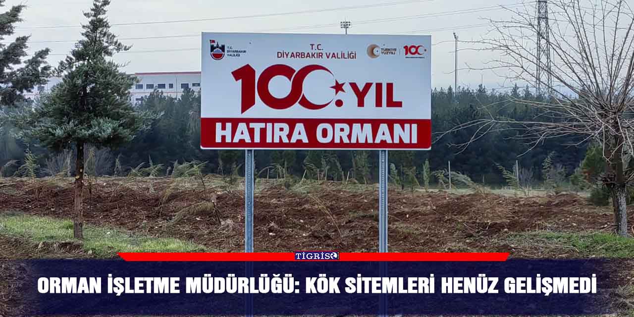 Orman İşletme Müdürlüğü: Kök sitemleri henüz gelişmedi
