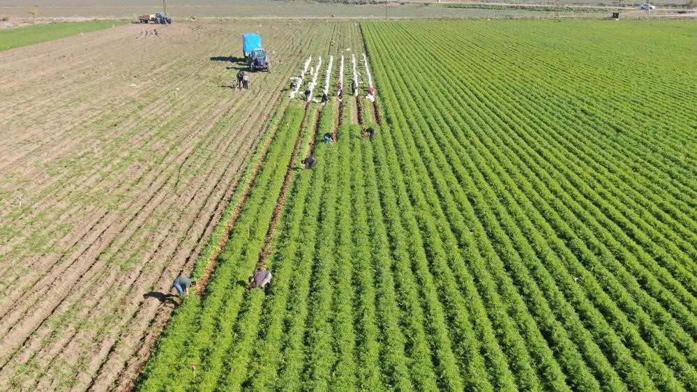 Çiftçiye ÇKS uyarısı!