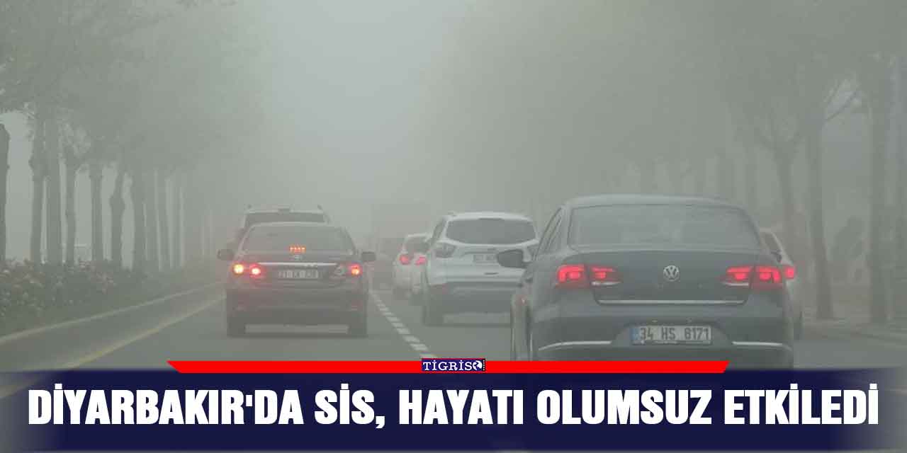VİDEO - Diyarbakır'da sis, hayatı olumsuz etkiledi