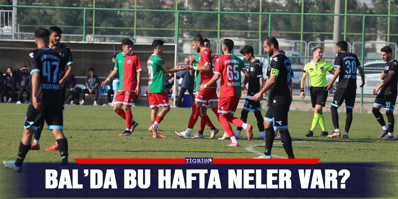 Bal’da bu hafta neler var?
