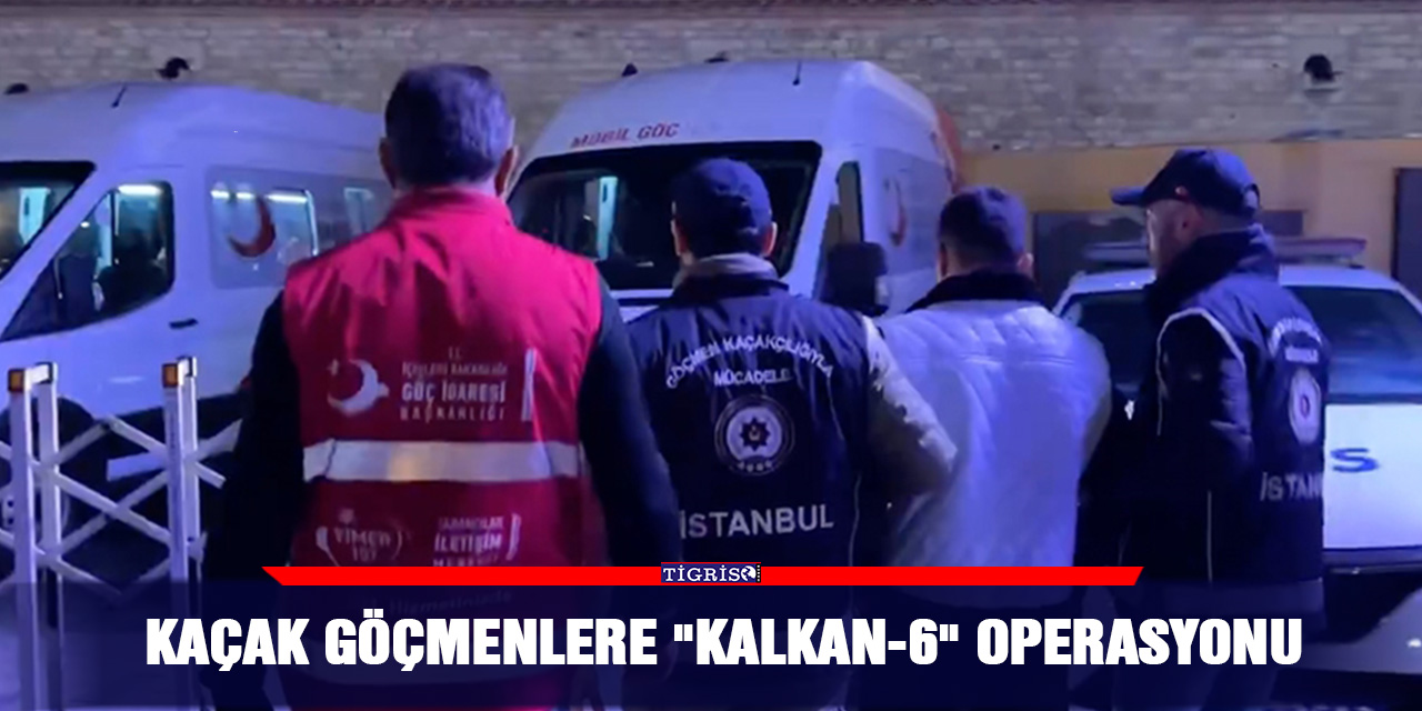 VİDEO - Kaçak göçmenlere "Kalkan-6" operasyonu