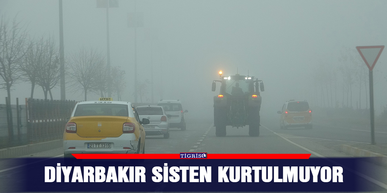 Diyarbakır sisten kurtulmuyor