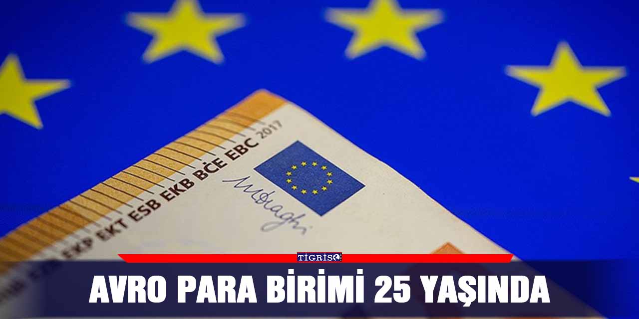 Avro para birimi 25 yaşında