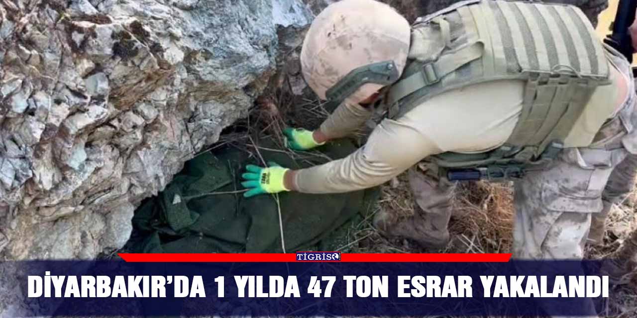 VİDEO - Diyarbakır’da 1 yılda 47 ton esrar yakalandı