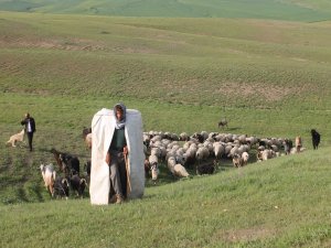 Çobanlardan kadro talebi