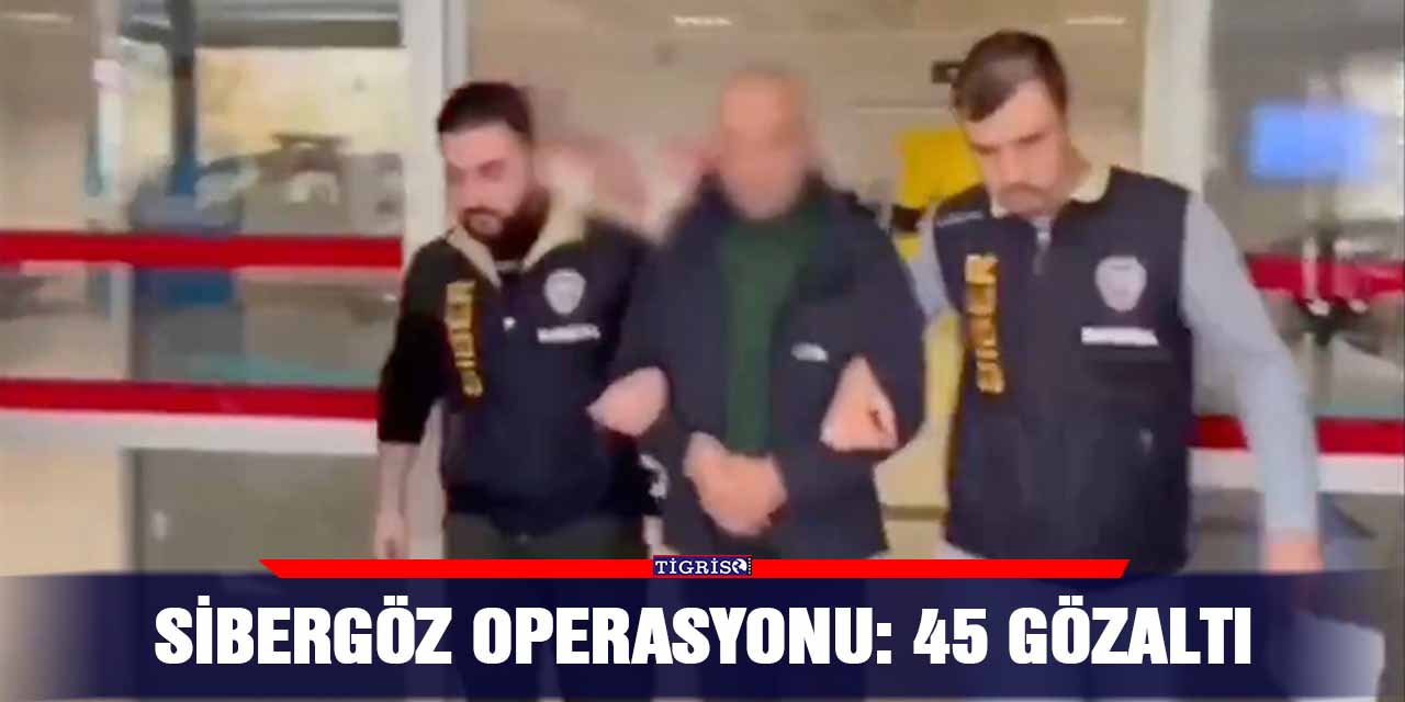 Sibergöz Operasyonu: 45 Gözaltı