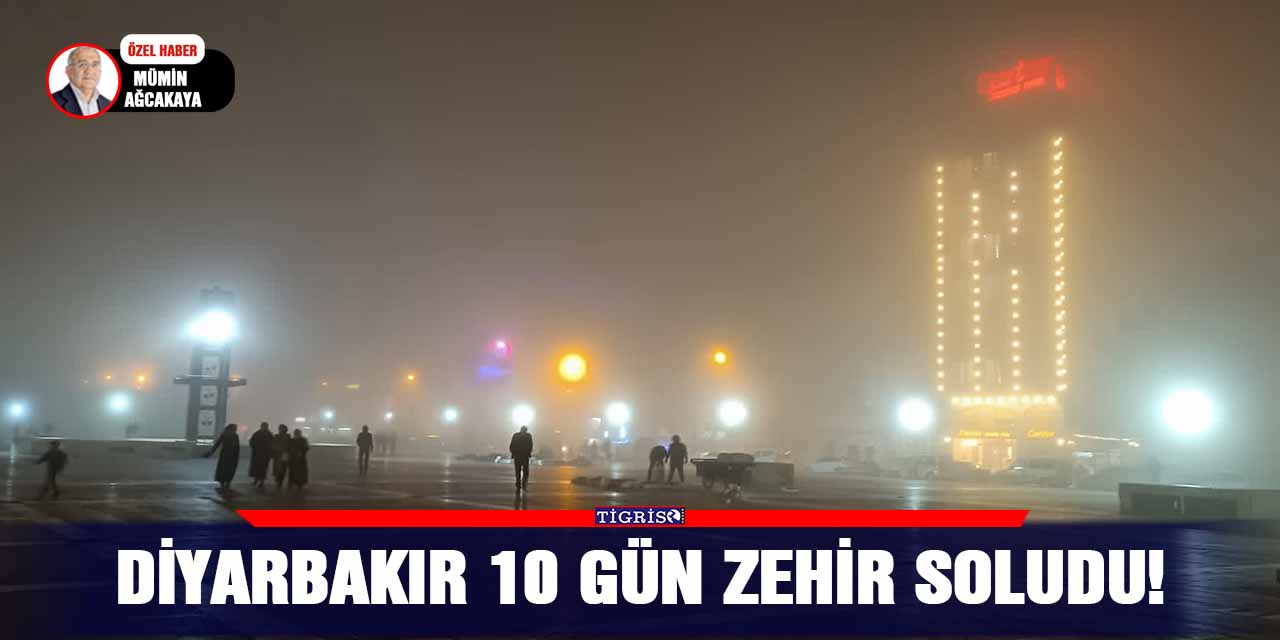 VİDEO - Diyarbakır 10 gün zehir soludu!