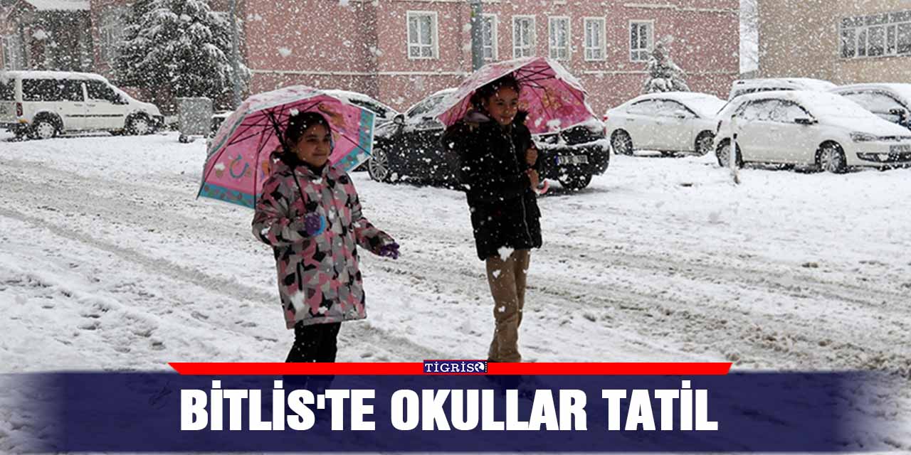 Bitlis'te okullar tatil