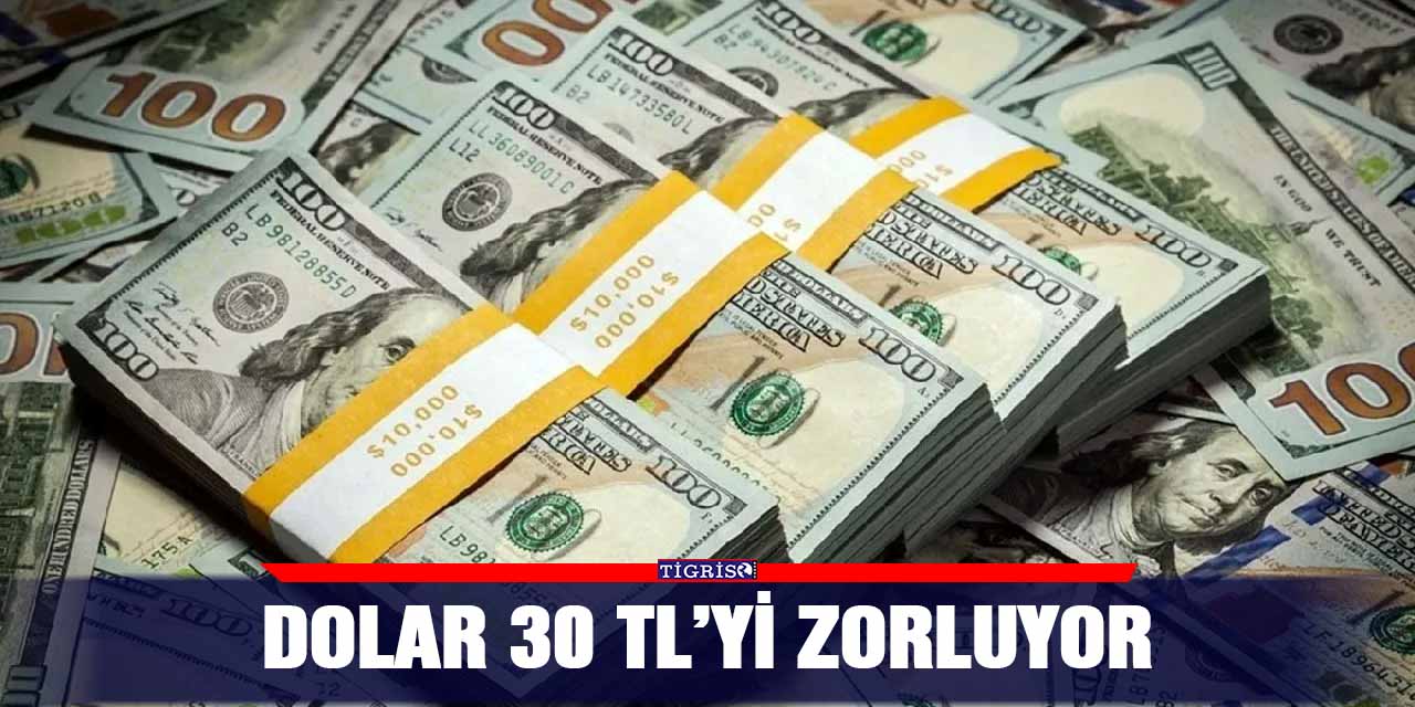 Dolar 30 TL’yi zorluyor