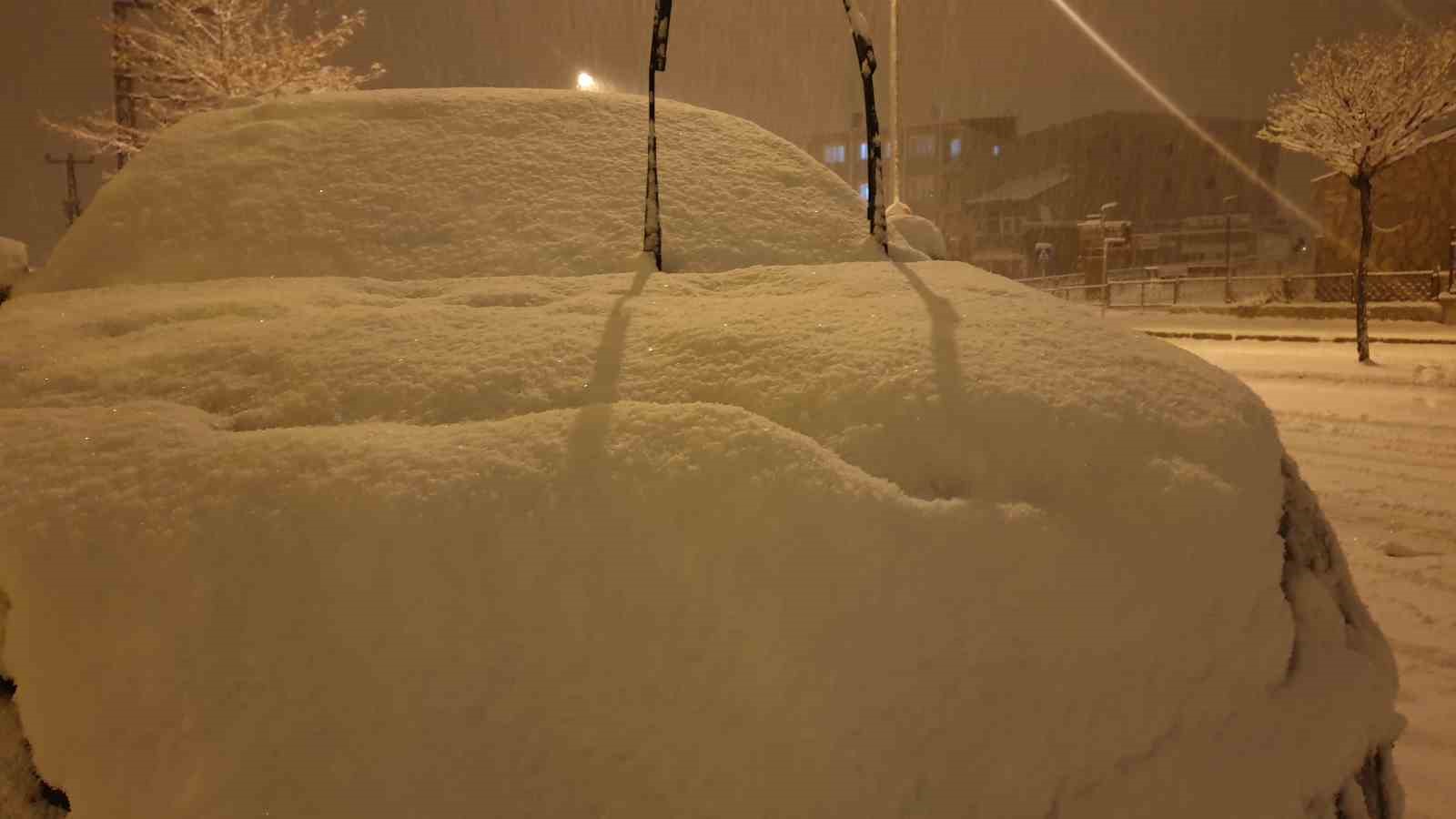 Başkale’de kar yağışı