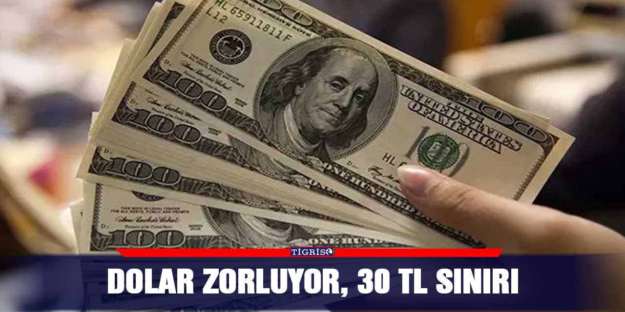 Dolar zorluyor, 30 TL sınırı