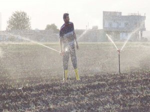 Kızıltepe Ovası'nda bir sezonda iki ürün