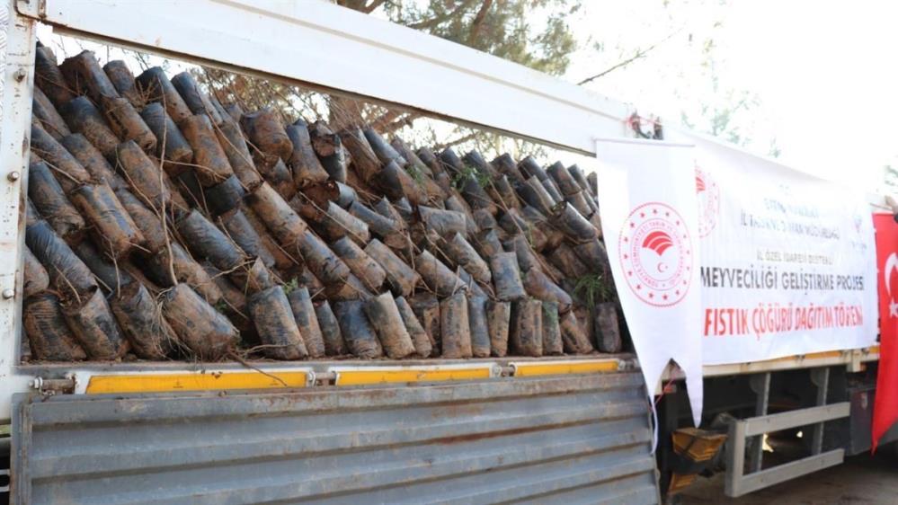 Batman’da ağaçlandırmaya 38 milyon lira