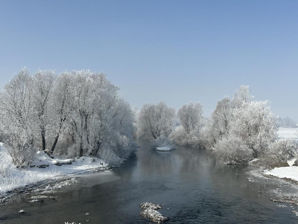 Yüksekova’da Ağaçlar kırağı tuttu