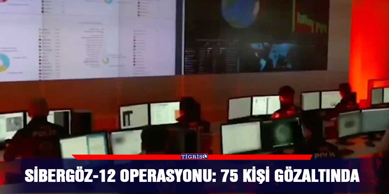 VİDEO - Sibergöz-12 operasyonu: 75 kişi gözaltında