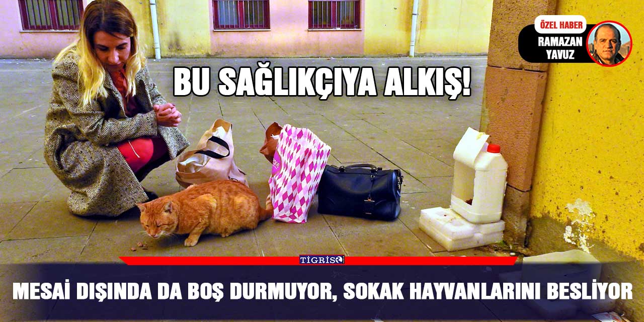 VİDEO - Mesai dışında da boş durmuyor, sokak hayvanlarını besliyor