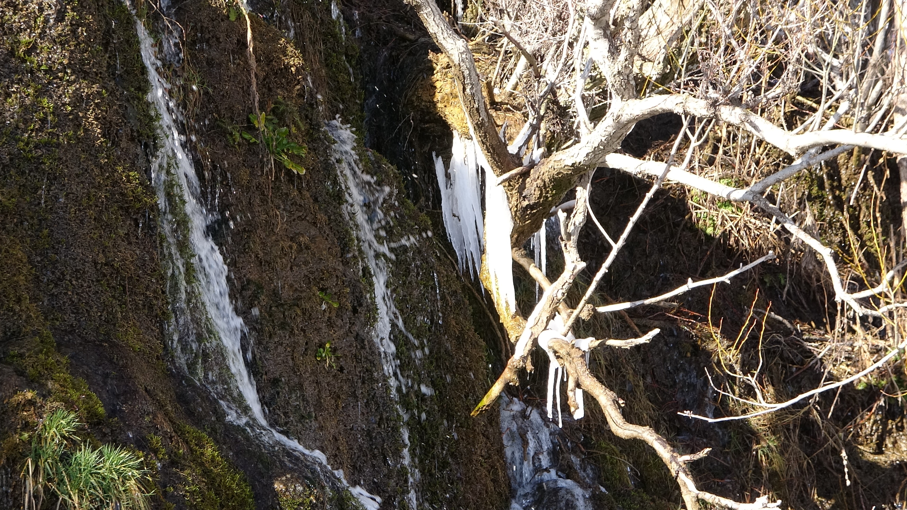 Arpet şelalesi dondu!