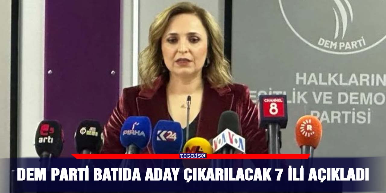 DEM Parti batıda aday çıkarılacak 7 ili açıkladı