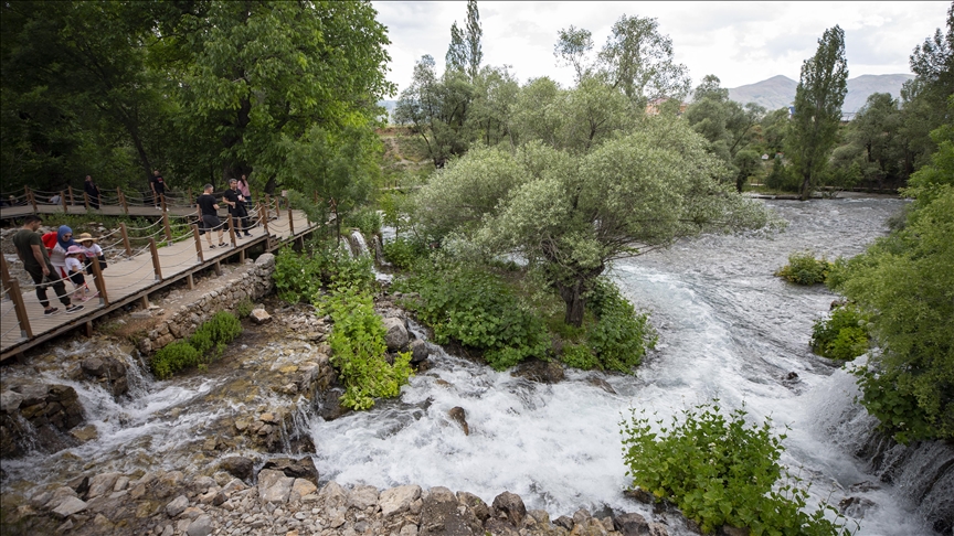 Türkiye'de kişi başına düşen ağaçlık yeşil alan miktarı şaşırttı