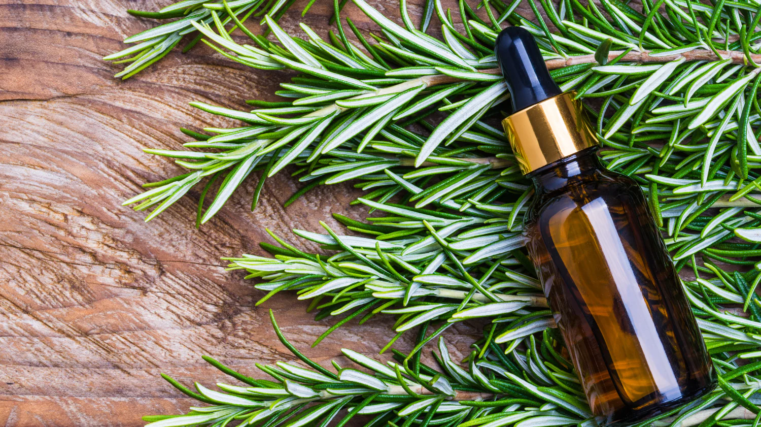 Saç uzatma için biberiye