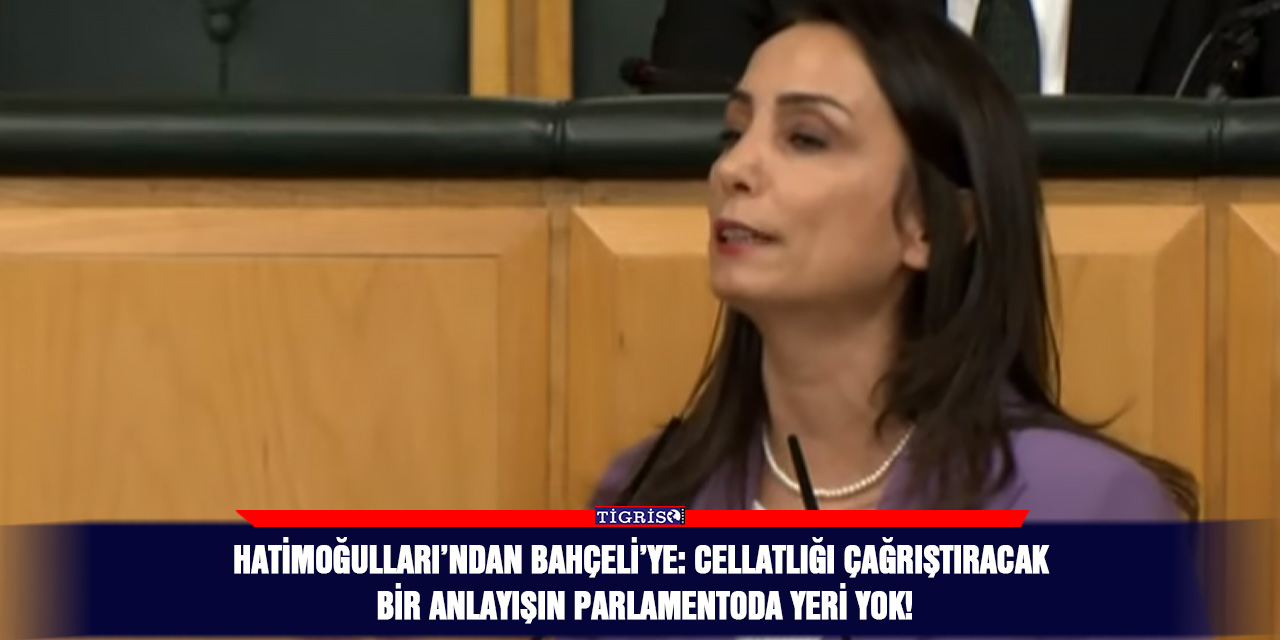 Hatimoğulları’ndan Bahçeli’ye: Cellatlığı çağrıştıracak bir anlayışın parlamentoda yeri yok!