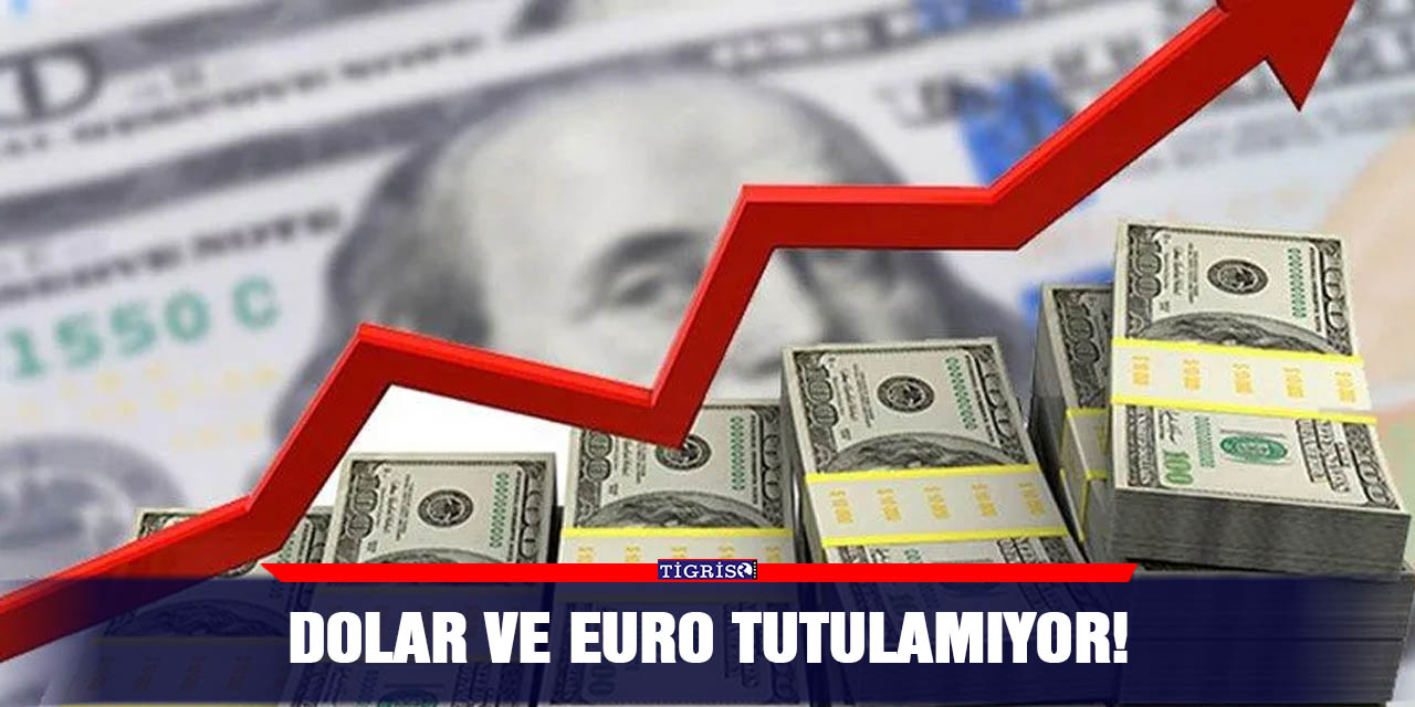 Dolar ve Euro tutulamıyor!