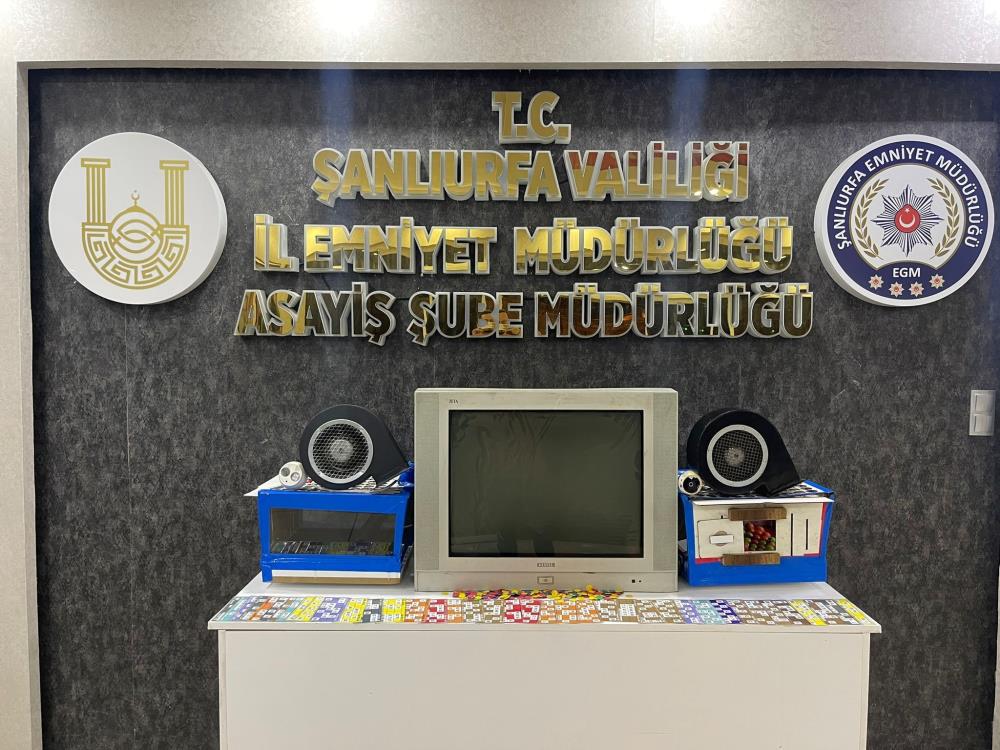 Şanlıurfa’da kumar operasyonu