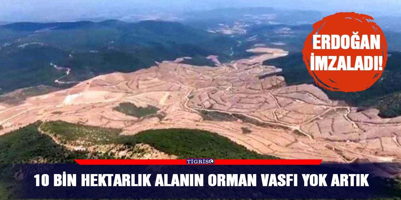 10 bin hektarlık alanın orman vasfı yok artık