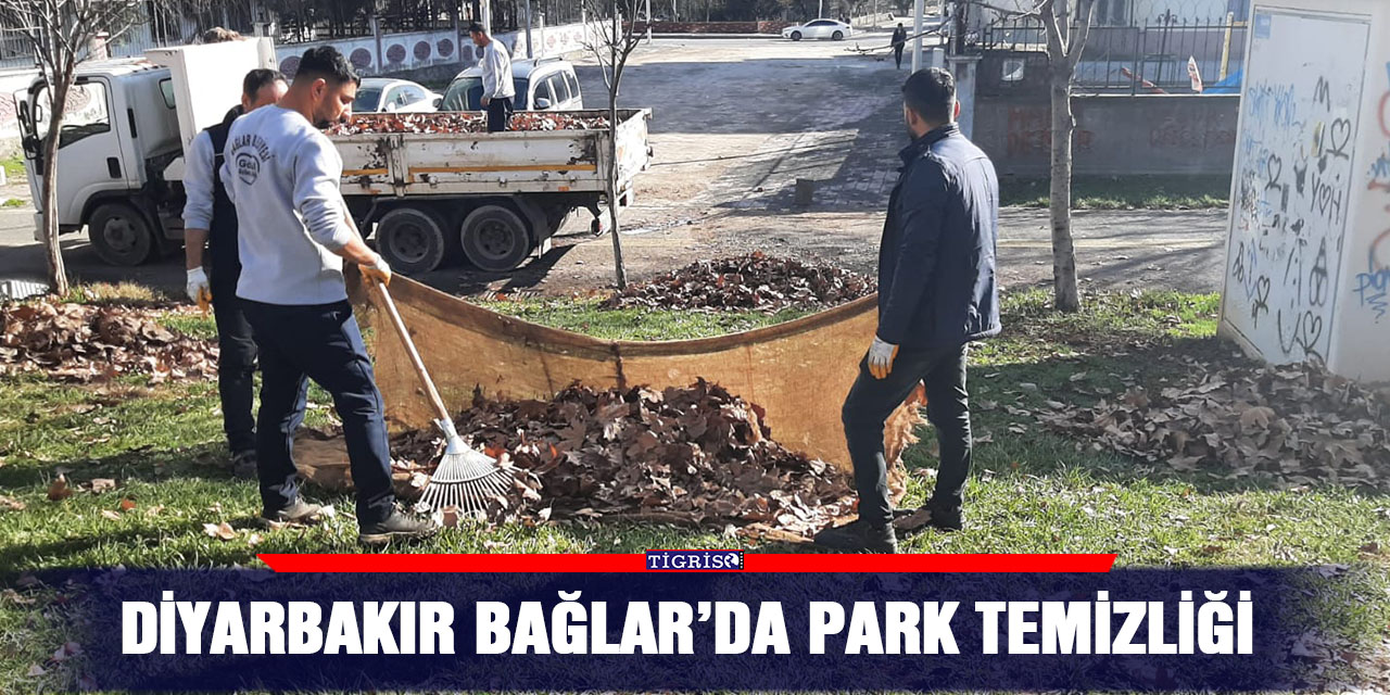 Diyarbakır Bağlar’da park temizliği