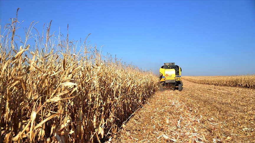 Bakan Yumaklı'dan çiftçilere müjde!
