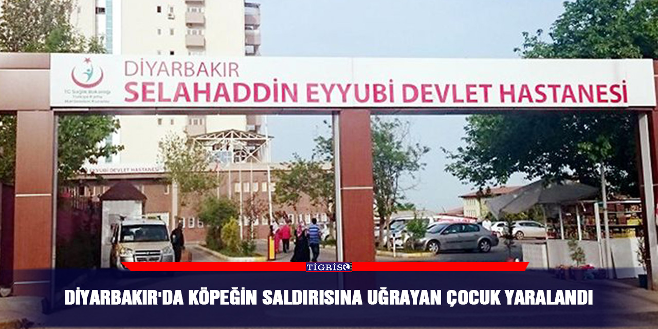 Diyarbakır'da köpeğin saldırısına uğrayan çocuk yaralandı