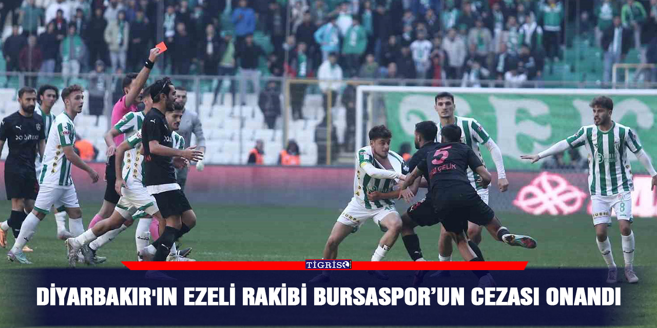 Diyarbakır'ın ezeli rakibi Bursaspor’un cezası onandı