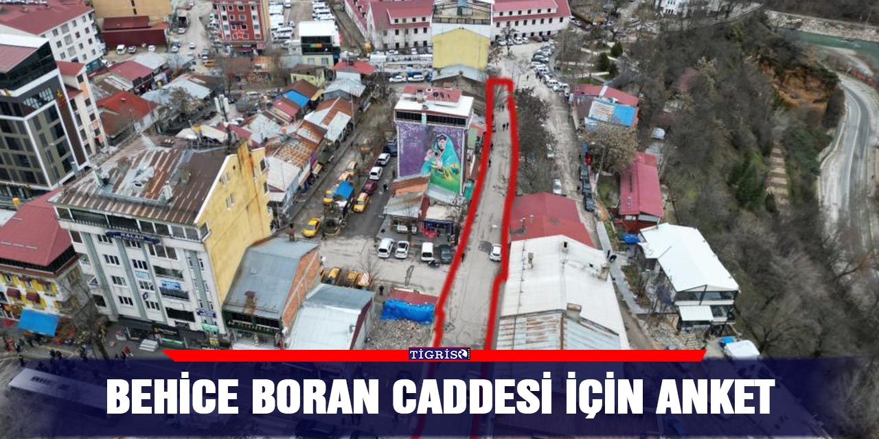 Behice Boran caddesi için anket
