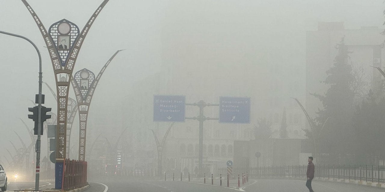 Mardin-Diyarbakır kara yolunda sis etkili oldu