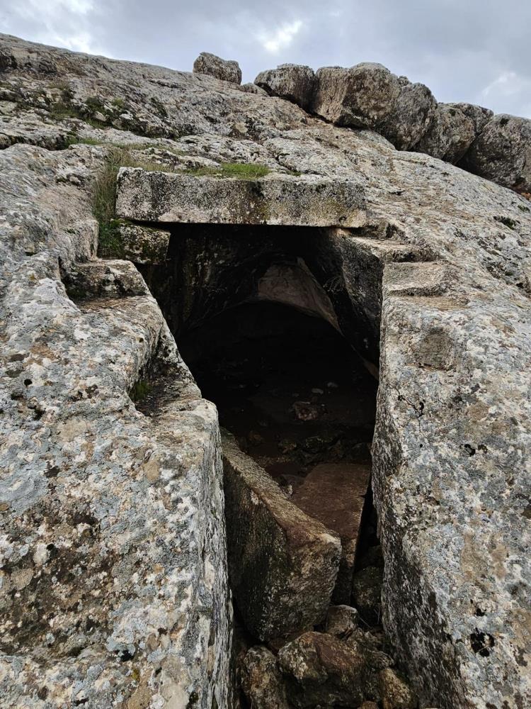 Define Avcılarına baskın !