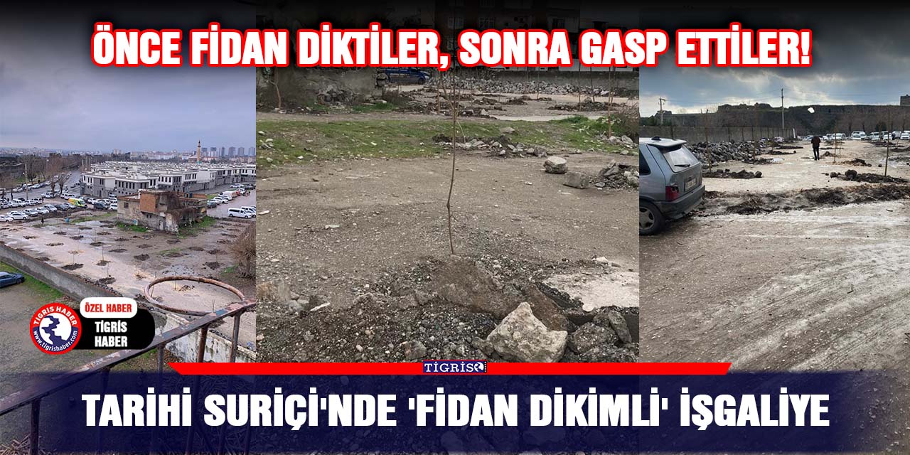 VİDEO - Tarihi Suriçi'nde 'fidan dikimli' işgaliye