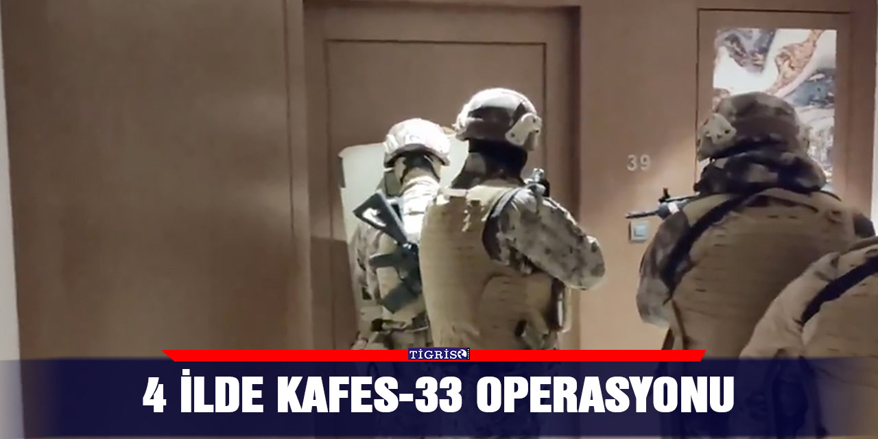 4 ilde kafes-33 operasyonu