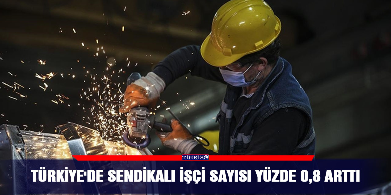 Türkiye'de sendikalı işçi sayısı yüzde 0,8 arttı