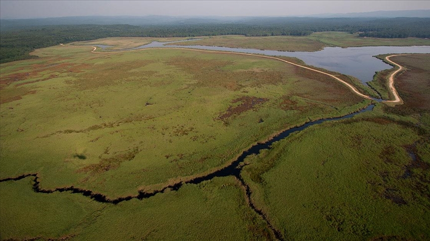 Sulak alanlar artık kayıt altında