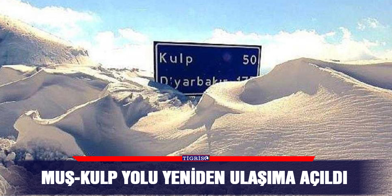 Muş-Kulp yolu yeniden ulaşıma açıldı