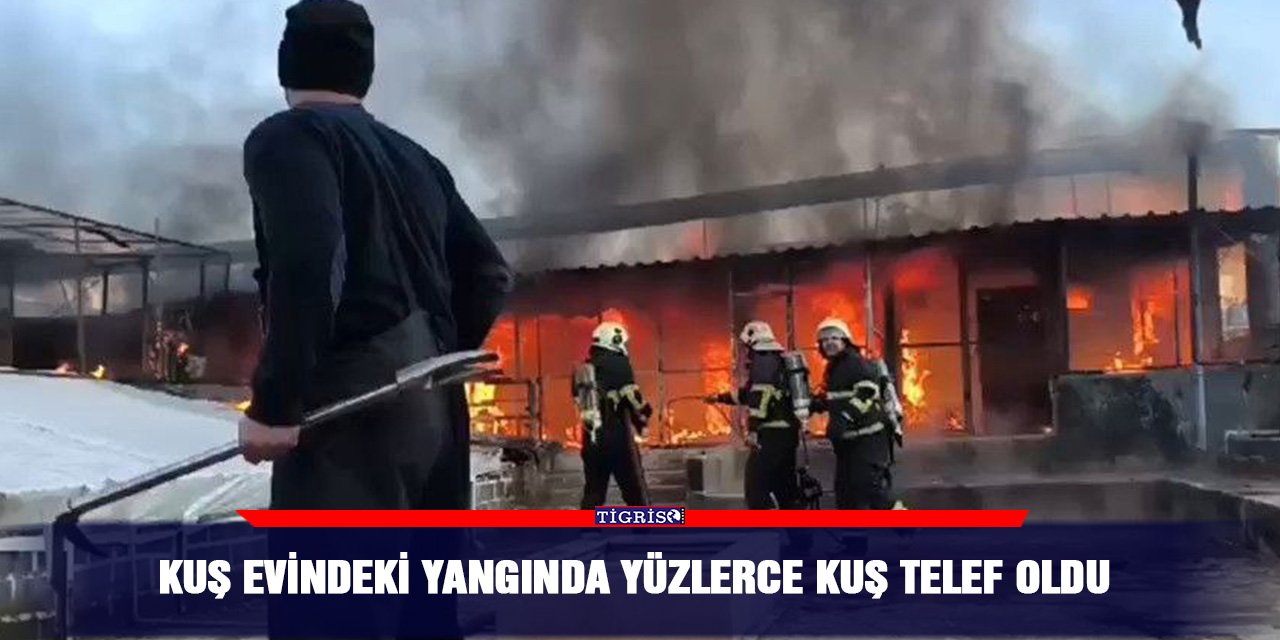 VİDEO - Kuş Evindeki yangında yüzlerce kuş telef oldu