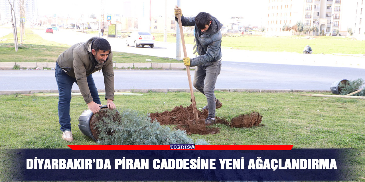 Diyarbakır’da Piran Caddesine yeni ağaçlandırma